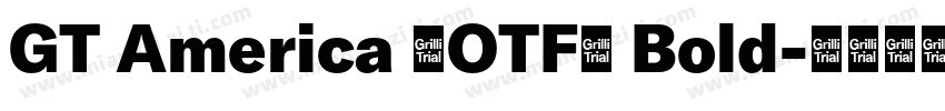 GT America (OTF) Bold字体转换